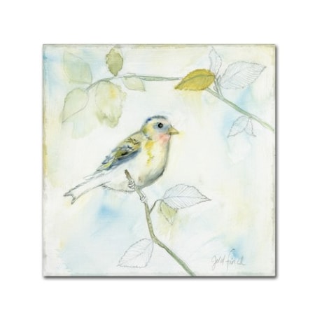 Sue Schlabach 'Sketched Songbird I' Canvas Art,14x14